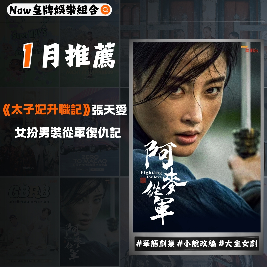 《阿麥從軍》（華語劇集）共36集 #小說改編 #一代女將